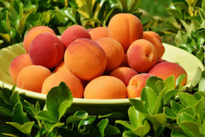 The apricot is a true vitamin bomb.