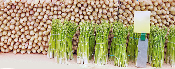 Asparagus is not just tasty, but also very healthy.