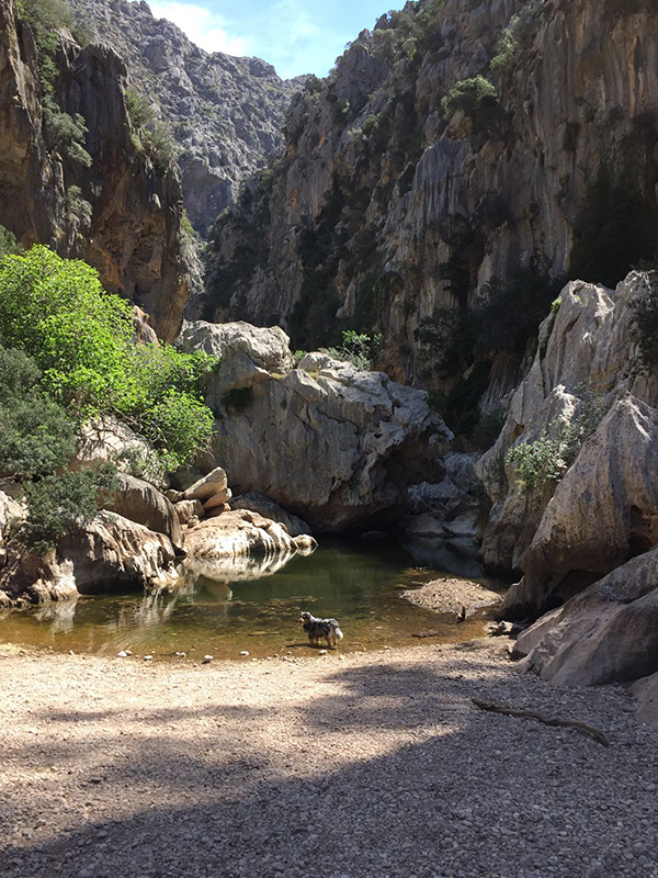 Sa Calobra - a beautiful excursion with dogs.