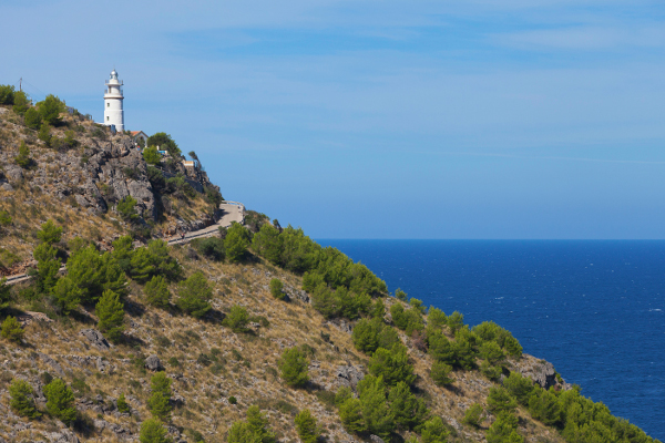 Almost all coastal trails will lead you to a lighthouse.