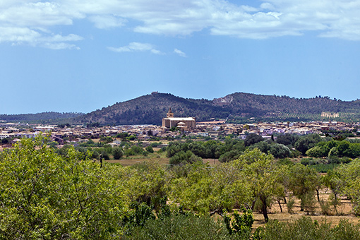 In Porreres a large market takes place in June in honor of the sweet apricots.