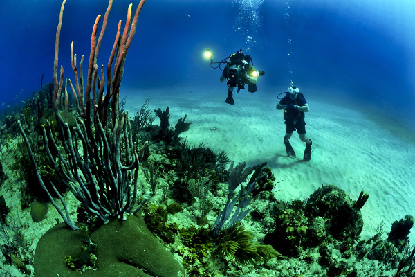 Professional diving schools offer courses for all ages.