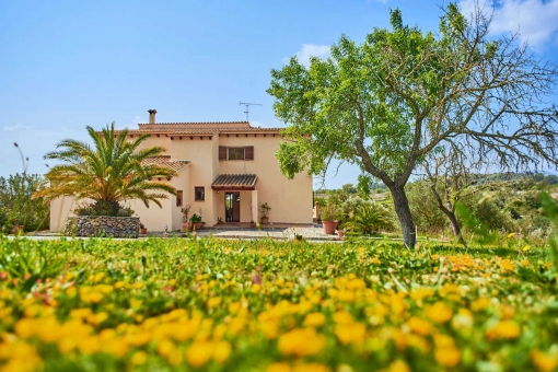 Finca Artista with a wonderful large garden.